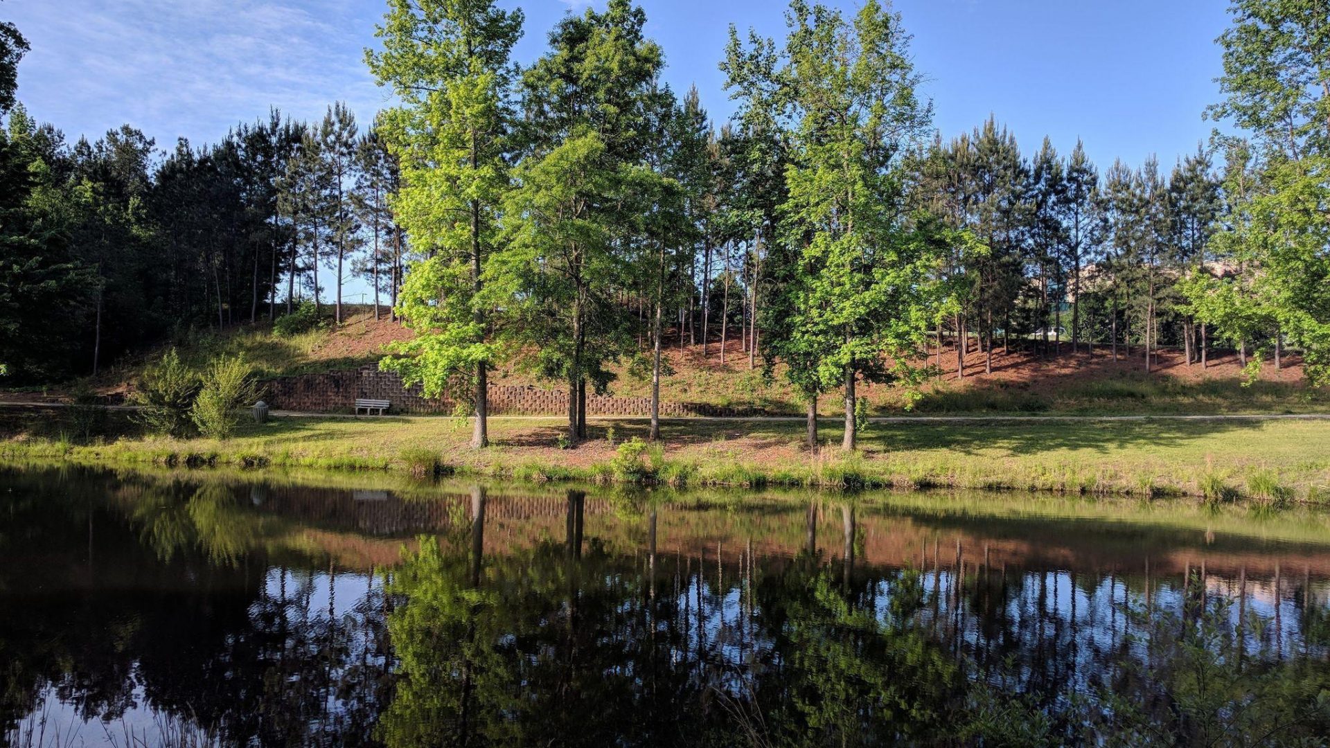 AnMed Health MedResidency