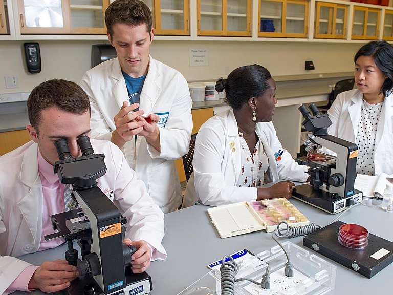 Eastern Virginia Medical School MedResidency